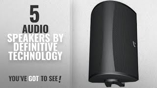 Top 5 Definitive Technology Audio Speakers [2018]: Definitive Technology AW 6500 Outdoor Speaker