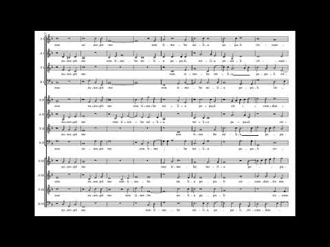 Lassus: Domine quid multiplicati sunt 12vv - Vox Luminis