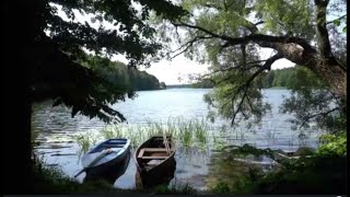 3 Hr Calm and Relax Down  By The River Relaxing Water and Bird Sounds