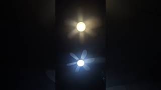 Transform Your Home with Our 2-in-1 Dimmable Light & Fan!