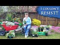 Garden center plant haul!! | Spring SALES happening!