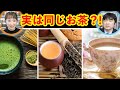 【徹底解説】お茶の違いを分かりやすく解説！緑茶・紅茶・烏龍茶と発酵の関係