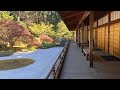 Spring garden tour with chief curator sada uchiyama  portland japanese garden
