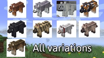 How to spawn all wolf variants in Minecraft Java