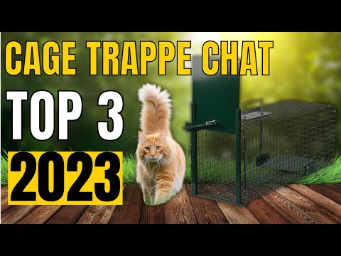 Trappe cloche pour chats