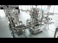 Complete Bottle Packaging Line | Filling, Capping, Sealing