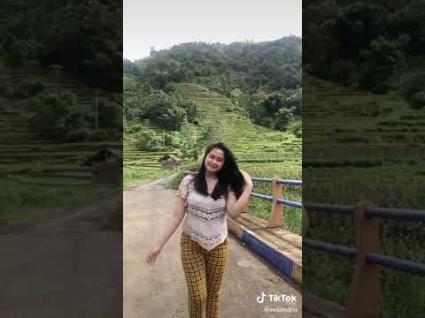 TikTok Body Semok