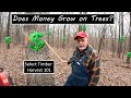 Project 291 can we make money on this how the process works for a select cut timber harvest