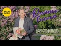Александр ШАТО – Опять весна (Official video, 2025)