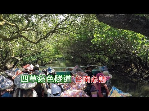 [台南一日遊景點] 帶你搭公車輕鬆到訪四草大眾廟綠色隧道，搭船遊河一次搞定！