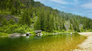 Fishing for Giant Trout that Nobody Could Find....