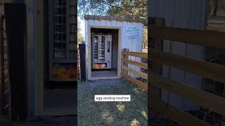 Egg Vending Machine #shorts
