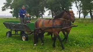 Запрягаем необученую кобылу в параконку ч.1