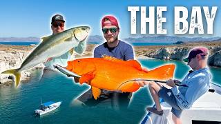 We Found a Secret in the Sea of Cortez | "The Bay" - A Saltwater Fishing Film