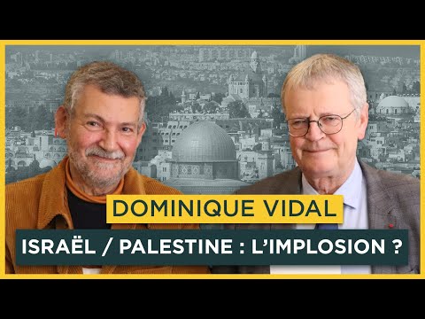 Israël / Palestine : vers l'implosion ? Avec Dominique Vidal | Entretiens géopo