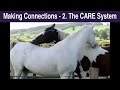 Making Connections - 2. The CARE System