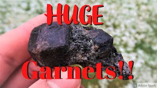 Rockhounding GARNET CRYSTALS!! The Biggest Garnets I