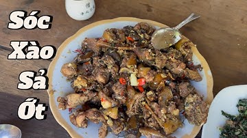 Lai Rai với Sóc Xào Sả Ớt Và Chuột Xào Lá Lốt