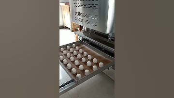 圆馒头流水线，Steamed bread production line