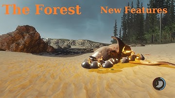 The Forest | New Features | Ragdoll shark and sitting on wood bench