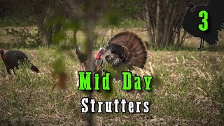 Episode 3: Big Gobblers Mid-Day | Turkey Calling | Missouri Turkey Hunting 2024