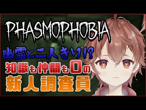 【Phasmophobia】新人研修２日目【茅野れい/Vtuber】【配信】