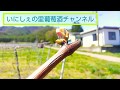 萌芽まえの解放、誘引、張替、散布作業。いにしぇの里葡萄酒チャンネル、ワイン醸造、葡萄栽培。長野ワイン、塩尻ワイン、北小野