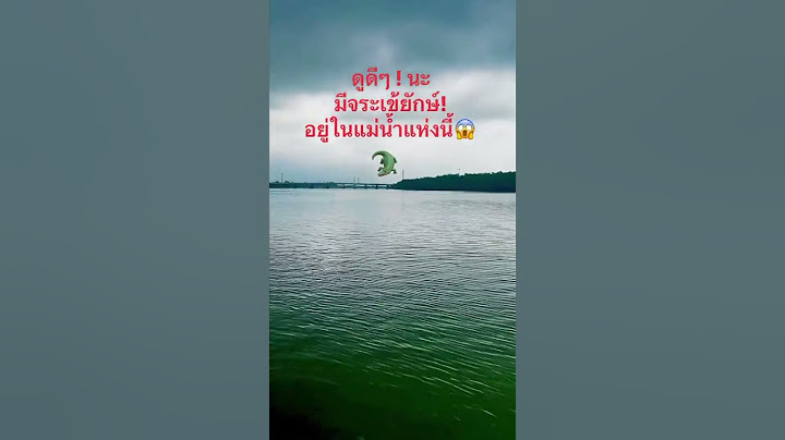 ดูดีๆ นะ! เขาบอกมีจระเข้ยักษ์ ใต้แม่น้ำแห่งนี้ #reels #facebook #crocodile #river #จระเข้ #กลัว