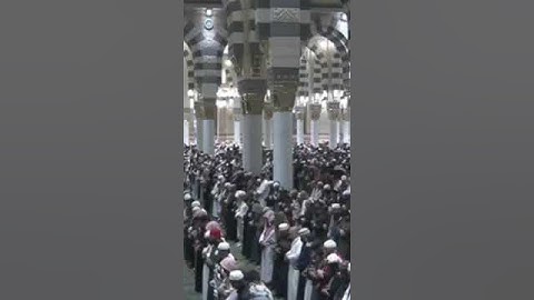 سورة التكاثر بصوت الشيخ عبدالمحسن القاسم من المسجد النبوي الشريف