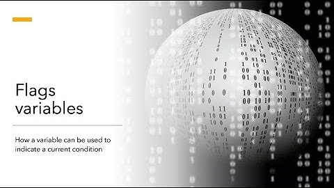 BeezMind C++ Programming - Flags Variables