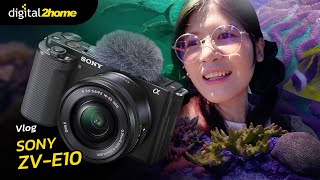 ถ่าย Vlog ด้วยกล้อง Sony ZV E10 อควาเรียม บางแสน ฉบับ 2024