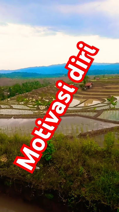 #motivasiharianku #motivasi #kutipanmotivasi #motivasidiri #kutipanhariini #sawah #alam #motivasihid