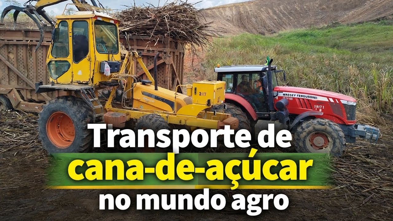 Máquinas Em Ação: O transporte de cana-de-açúcar é No mundo agro