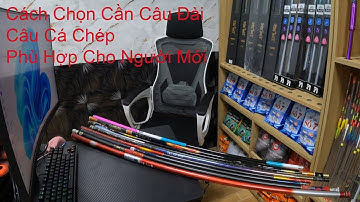 Hướng Dẫn Chọn Cần Câu Đài Câu Cá Chép Phù Hợp Nhất Cho Người Mới