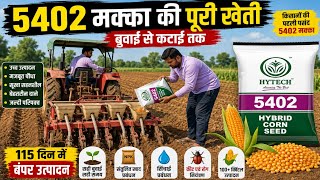 🌽 हाईटेक 5402 मक्का| HTMH 5402 बुवाई से कटाई तक संपूर्ण जानकारी