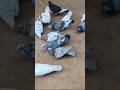 #darshanruchith #pigeon #kabootar #parivala