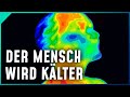 Unsere Körpertemperatur sinkt seit Jahrzehnten!