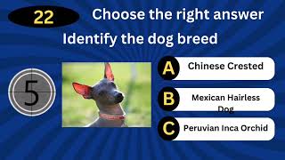 Can you guess these dog breeds | Dog trivia game screenshot 3