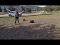 Small Dog Training In San Jose, Ca. 408-455-1503 Small Dog Training In San Jose, Ca. 408-455-1503