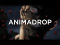 Animadrop - THE CURSED TAPE
