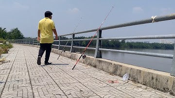 Duy Cá Ngát/chia sẽ điểm câu cá sông tự nhiên.