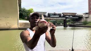 Buffalo Bayou Fishing Houston Tx