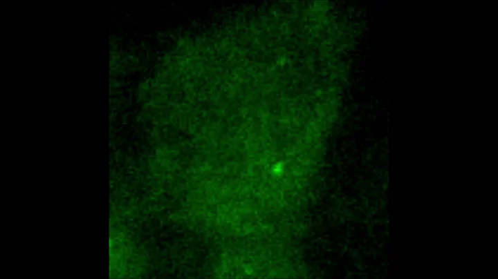 Super-resolution imaging of histone proteins using thio-caged dye