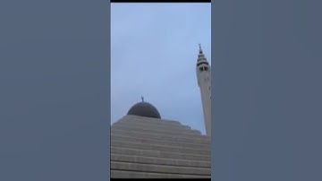 تلاوة بديعة من سورة هود مشاري العفاسي ٢٠١١