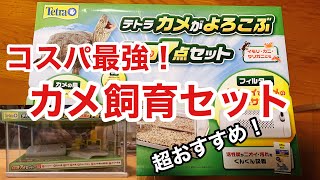 激安なのに充実！最強カメ飼育セットを紹介します！