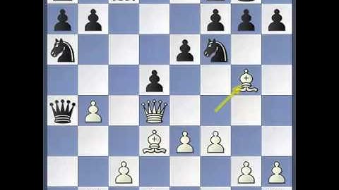 Houdini Versus AnMon Chess Engines