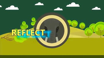 Learning Action Cell