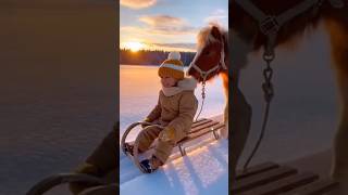 😂❄️👦🐴 Child Riding Sled With His Tiny Pony!
