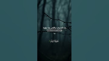 سورة مريم 🤎 #fyp #foryou #quran #explore #highlights #trending