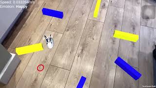 Using Augmented Reality to explain what a robot is doing (2020)